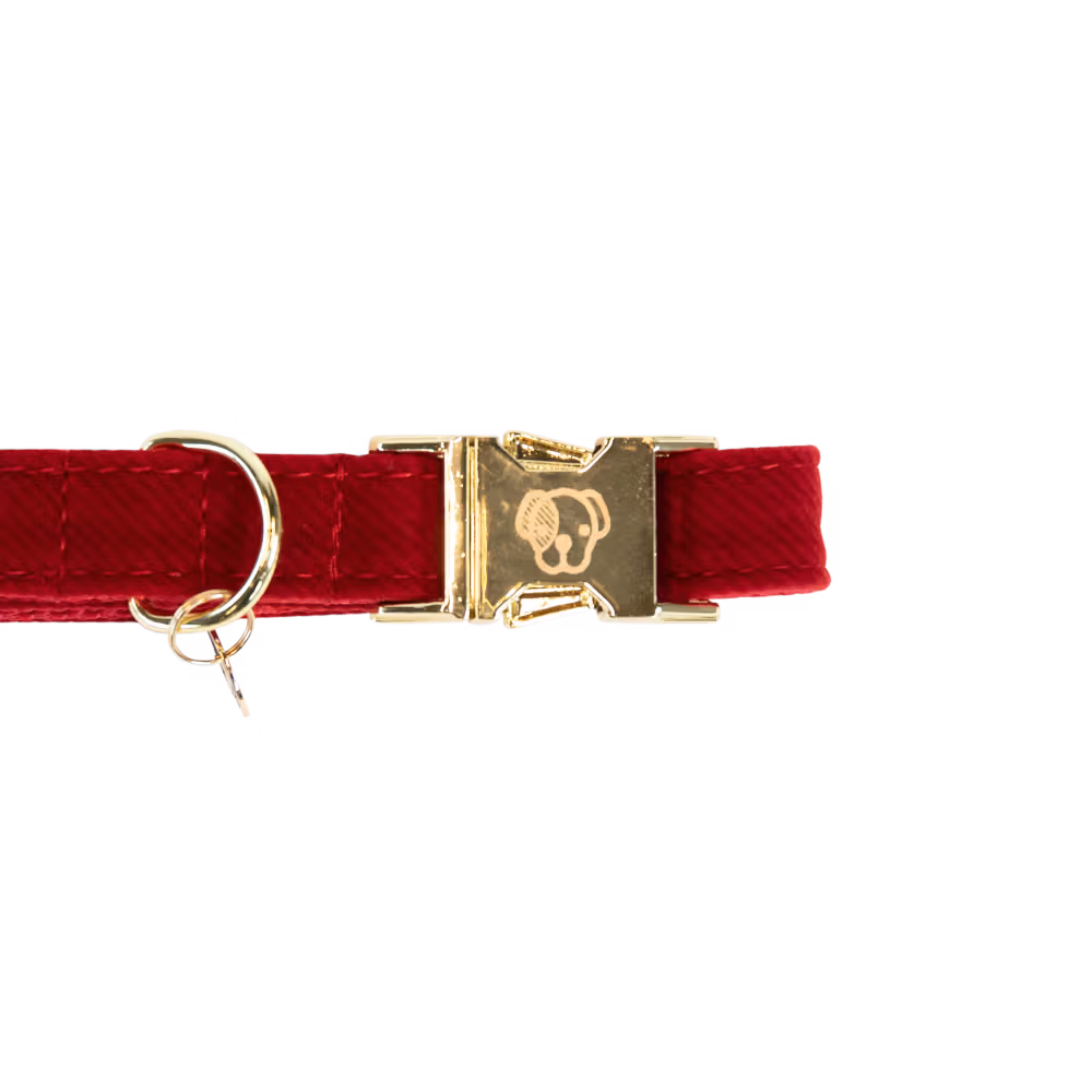 Solde Collier pour chien Corduroy
