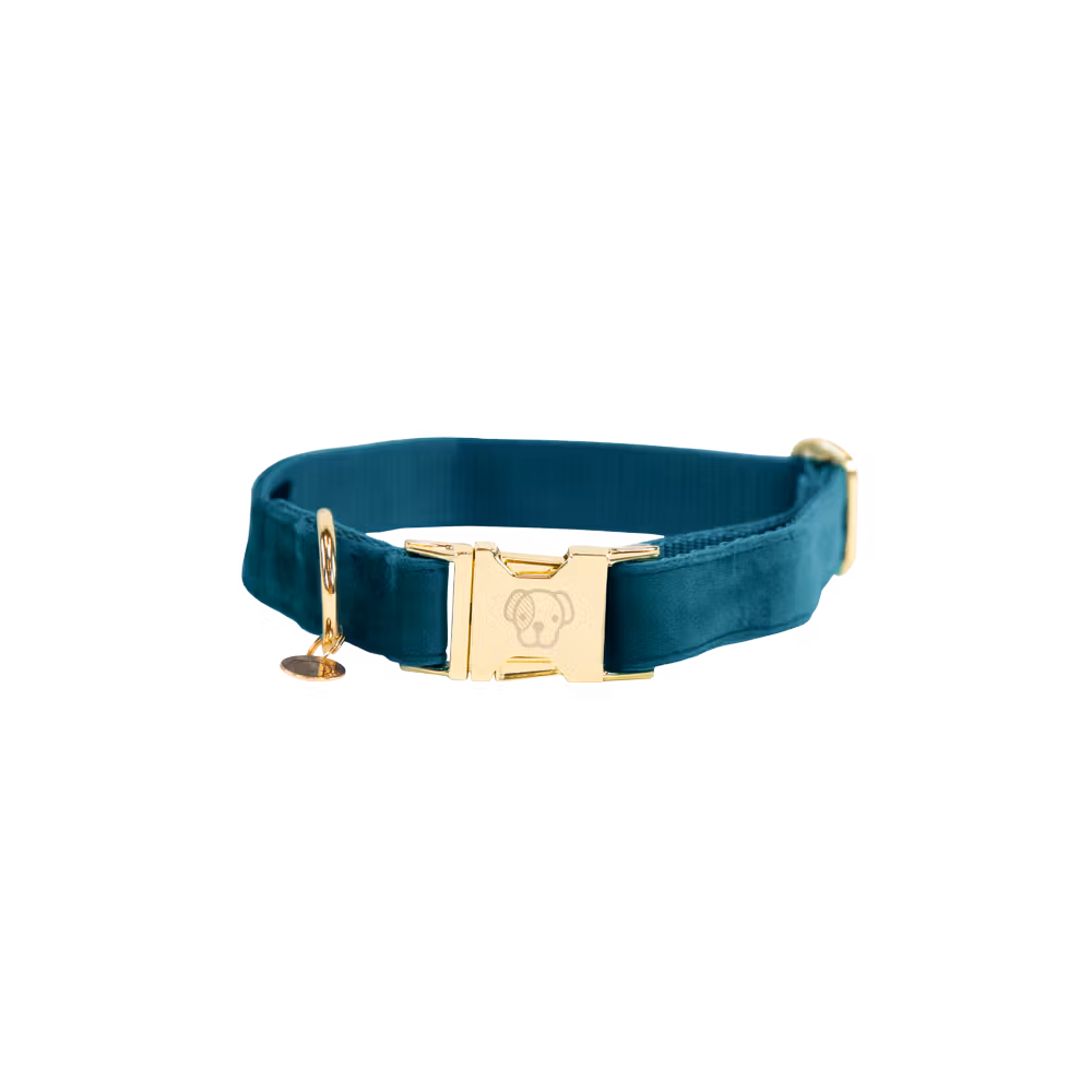 Bon Marché Collier pour chien Velvet
