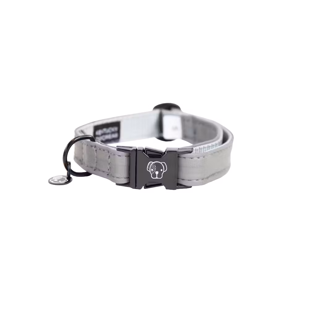 Meilleur Choix Collier pour chien Réfléchissant
