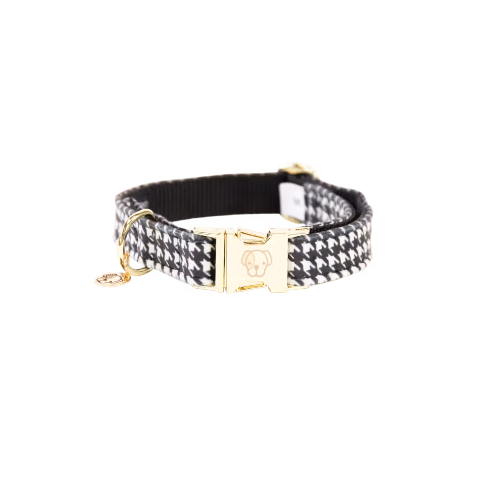 Prix Promo Collier pour chien Pied-de-poule
