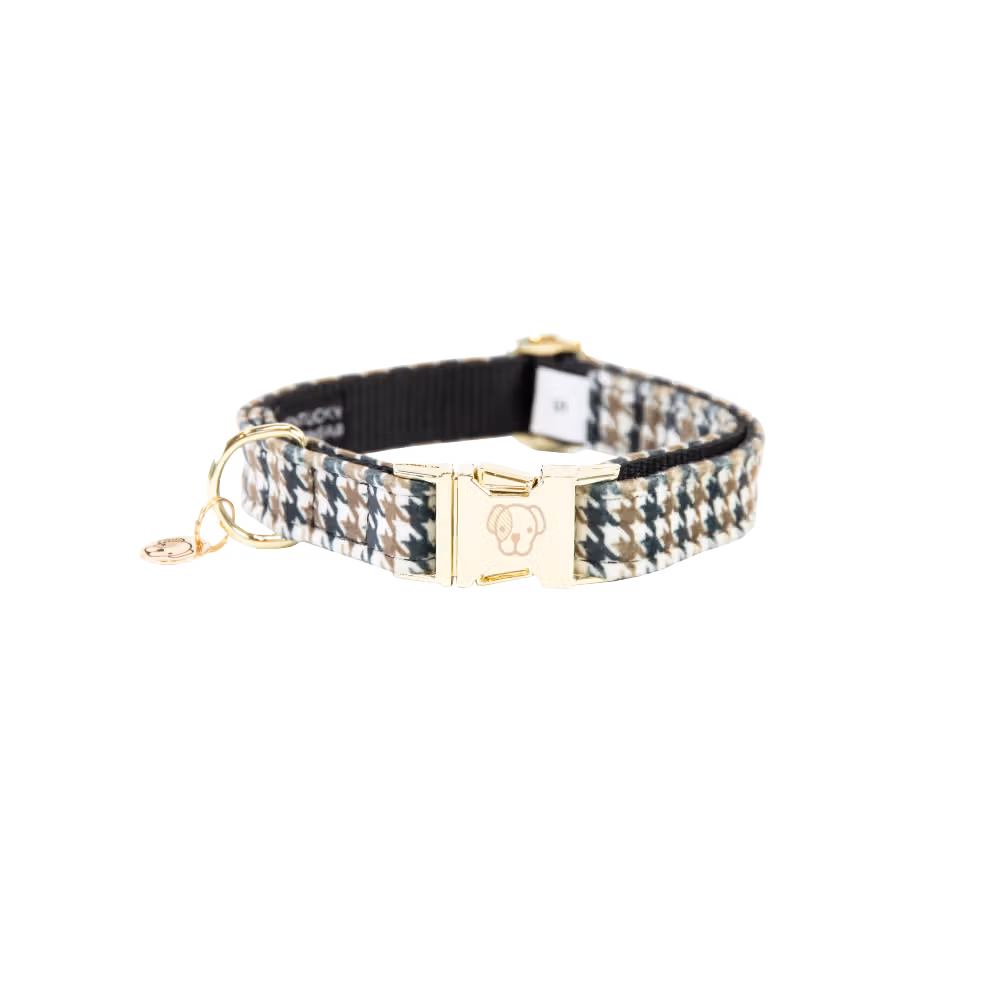 Prix Cassé Collier pour chien Pied-de-poule