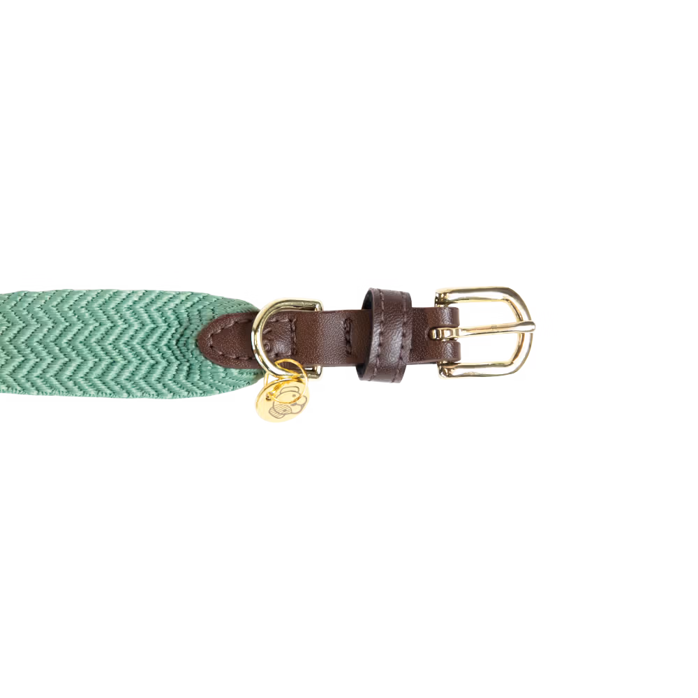 Collier pour chien Jacquard Prix Promo
