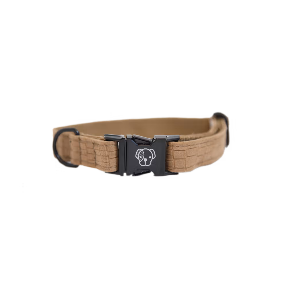 Super Prix Collier pour chien Lézard