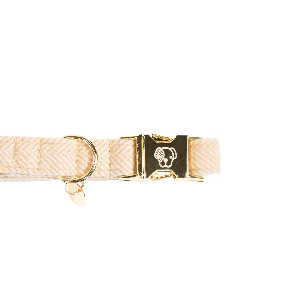 Must-Have Collier pour chien Wool