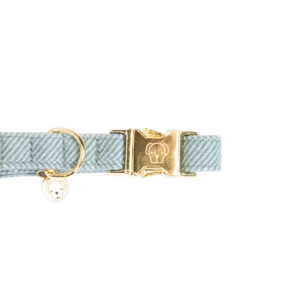 Populaire Collier pour chien Wool