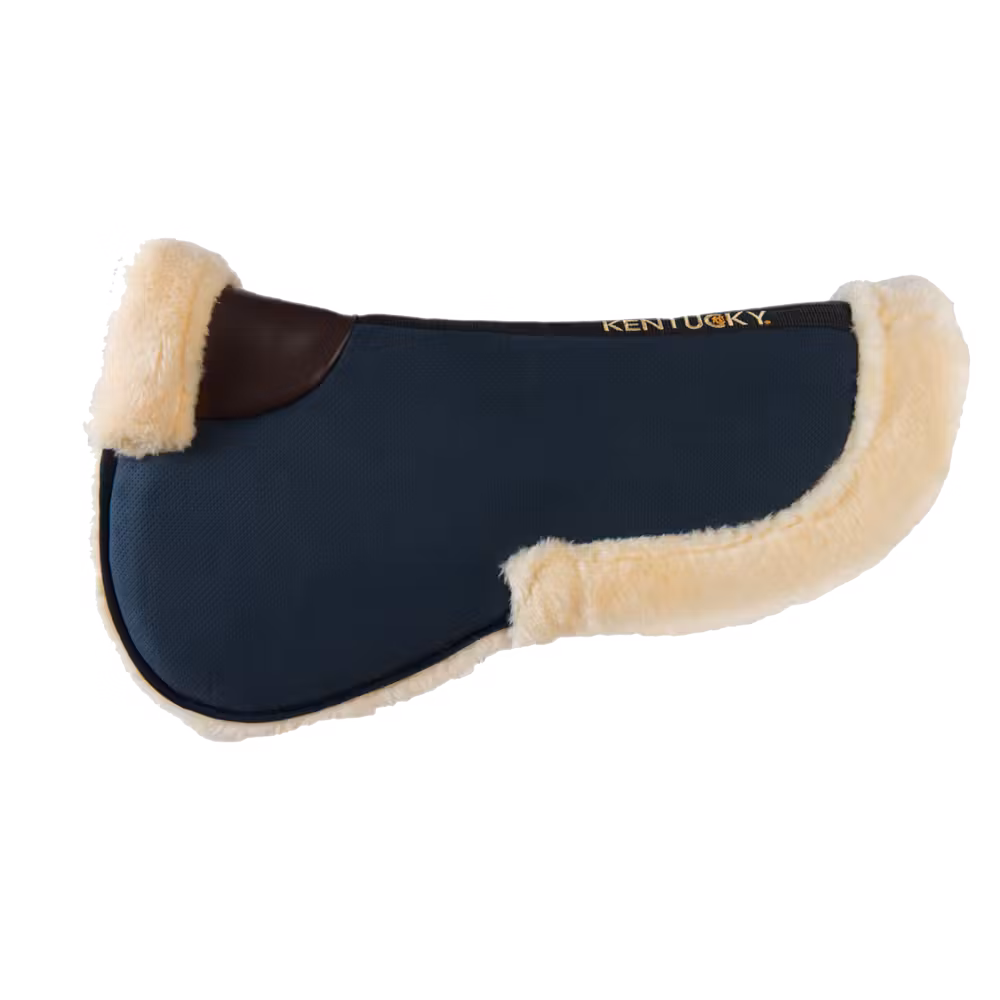 Amortisseur mouton Absorb Populaire