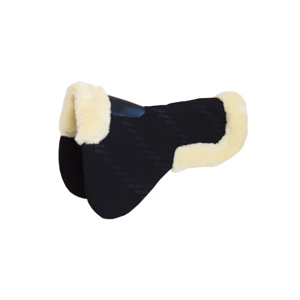Amortisseur Mouton Impact Equalizer Prix Promo