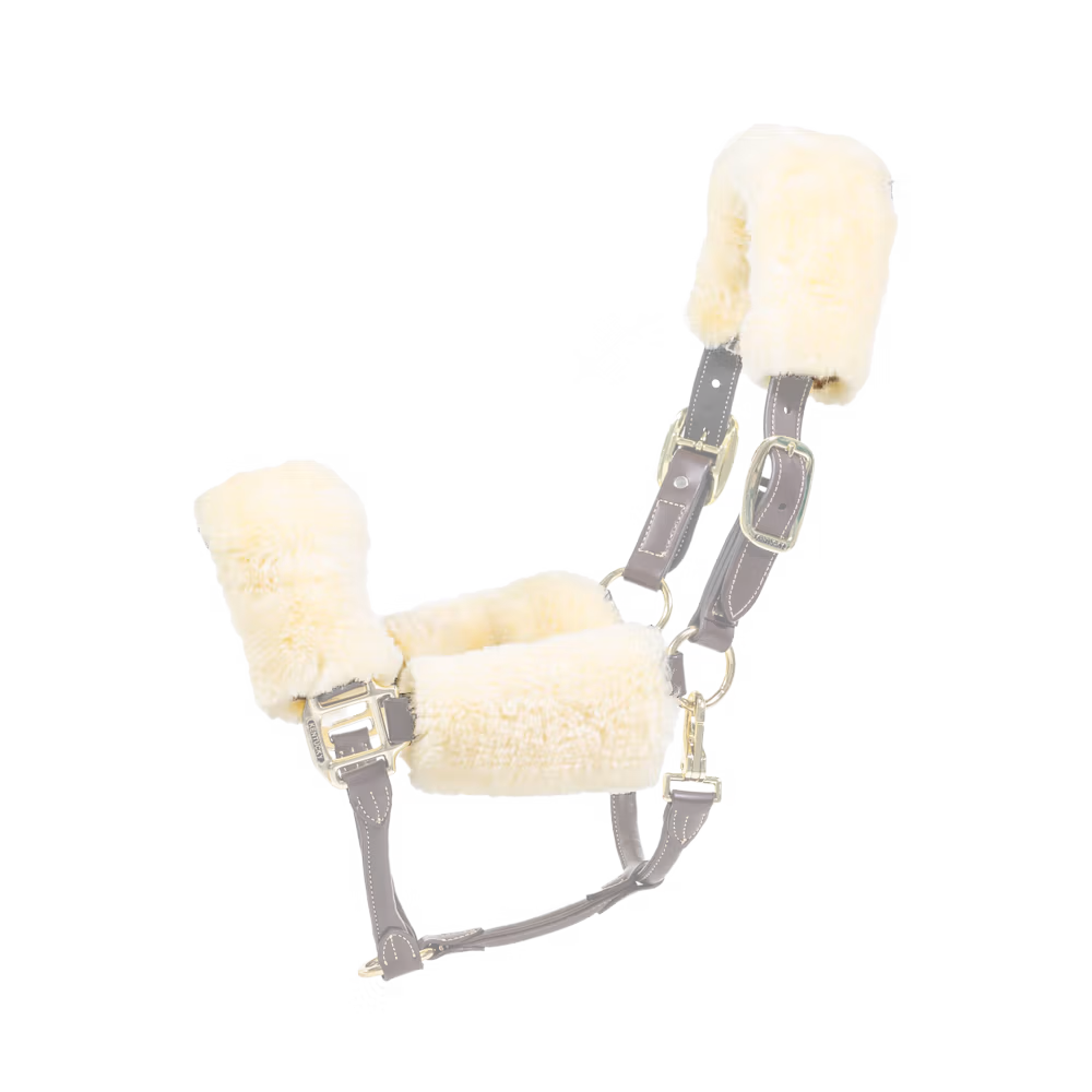 Vente Directe Fourreau en mouton pour Licol 4 pièces