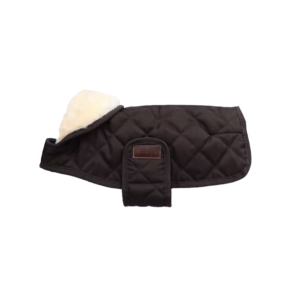 Quantité Limitée Manteau pour chien Original