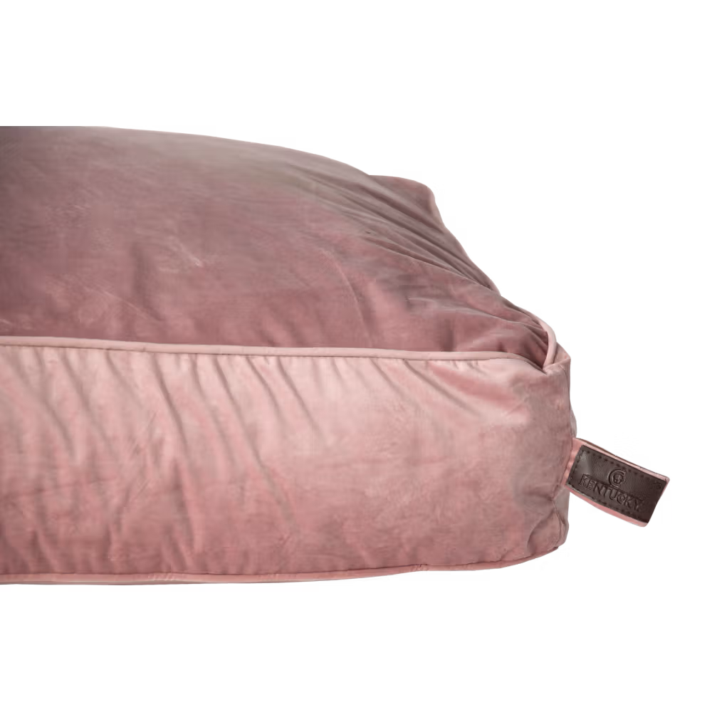 Acheter Direct Oreiller pour chien Velvet