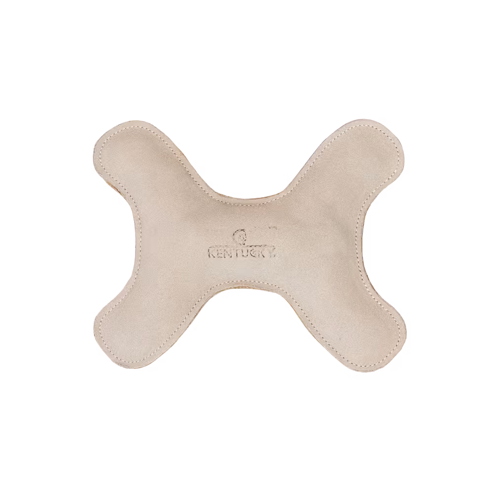 Nouveauté Jouet pour chien Pastel Bone