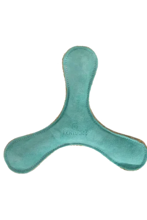 Nouveauté Jouet pour chien Pastel Boomerang