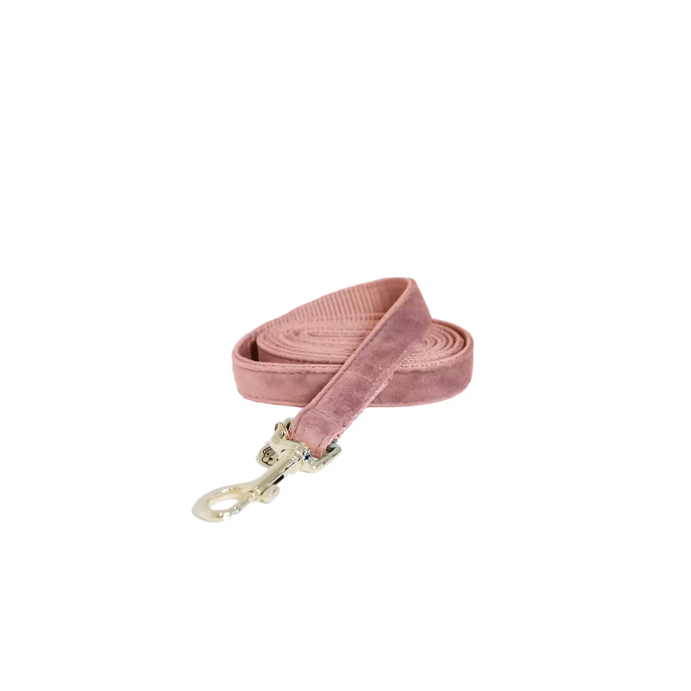 Offre Du Jour Laisse pour chien Velvet 120 cm