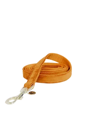 Nouvelle Collection Laisse pour chien Velvet 120 cm