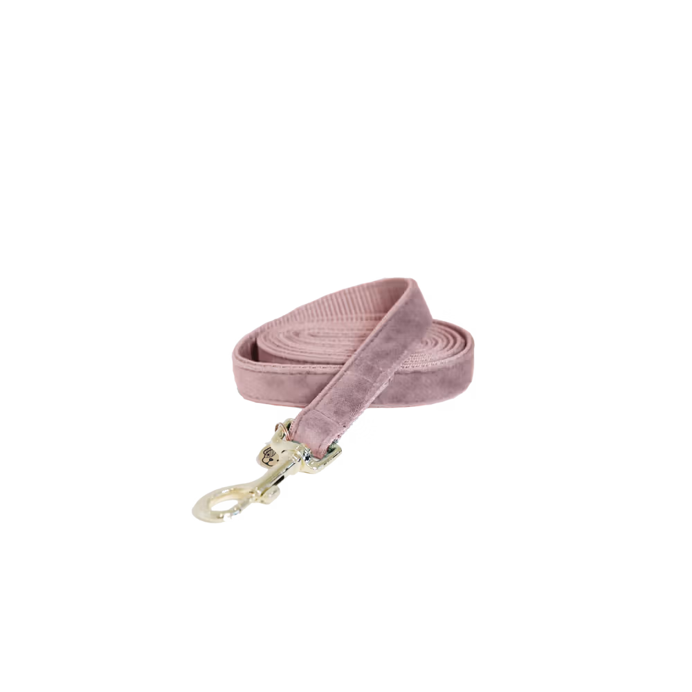 Laisse pour chien Velvet 120 cm Acheter Direct