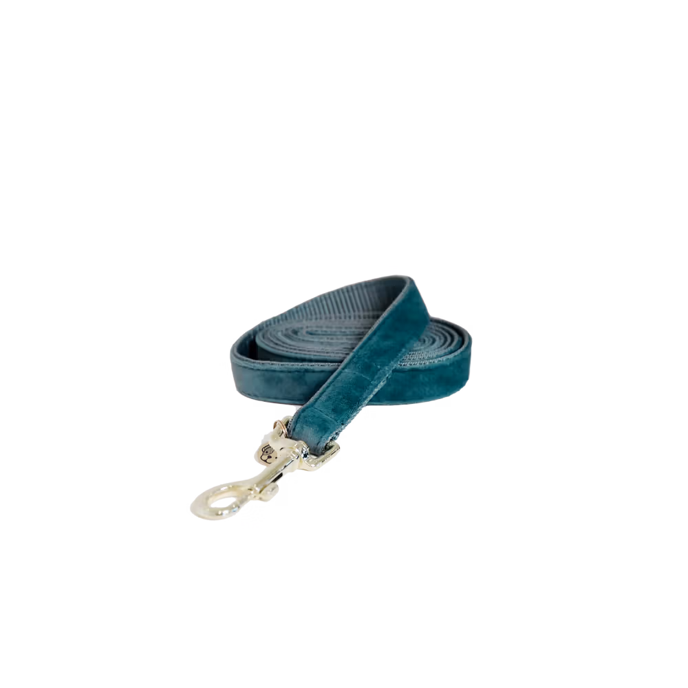 Retour Gratuit Laisse pour chien Velvet 120 cm