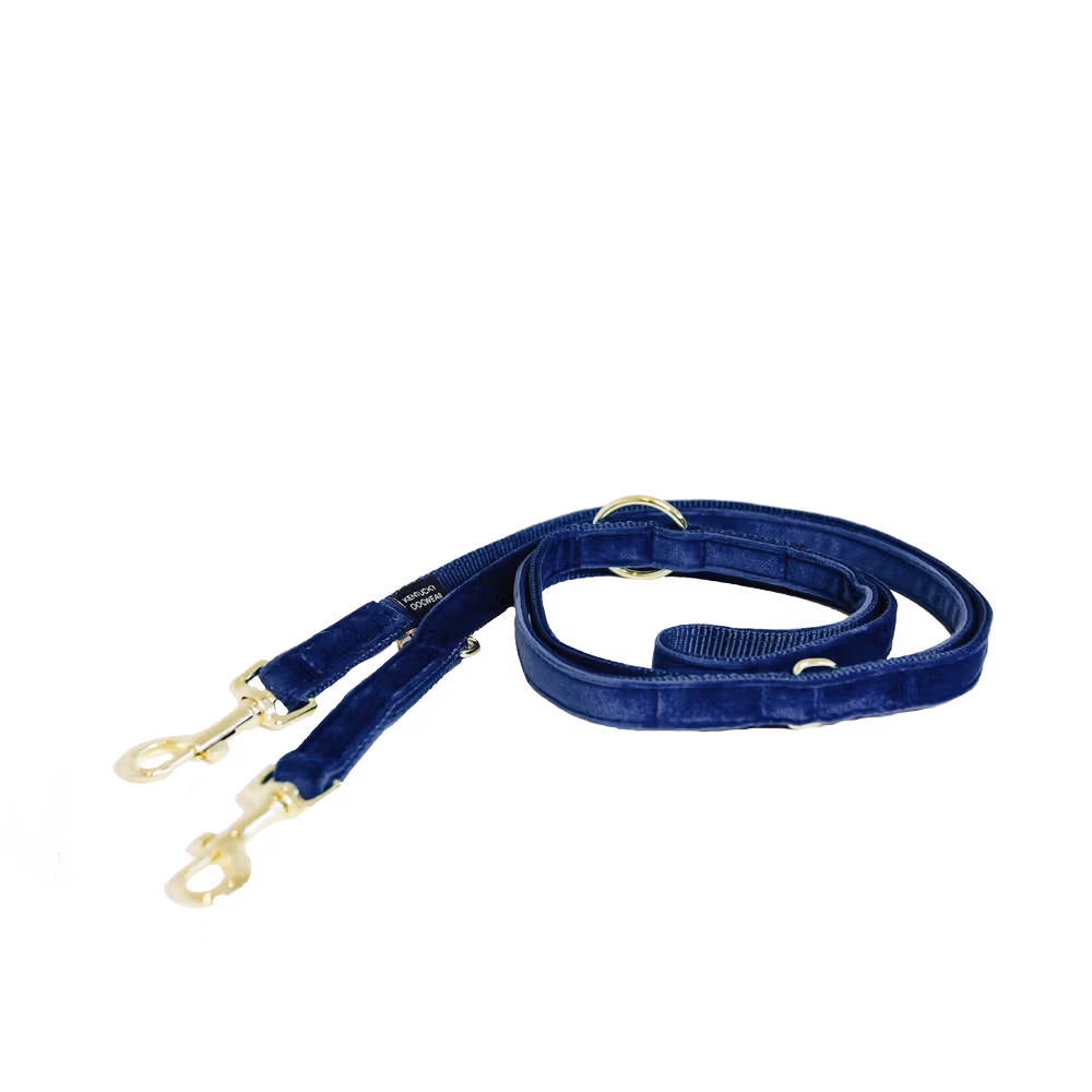 Solde Laisse pour chien Velvet 200 cm