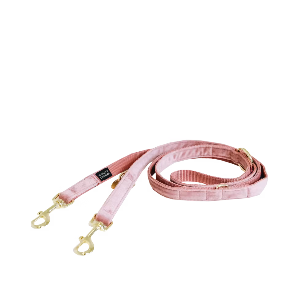 Certifié Laisse pour chien Velvet 200 cm