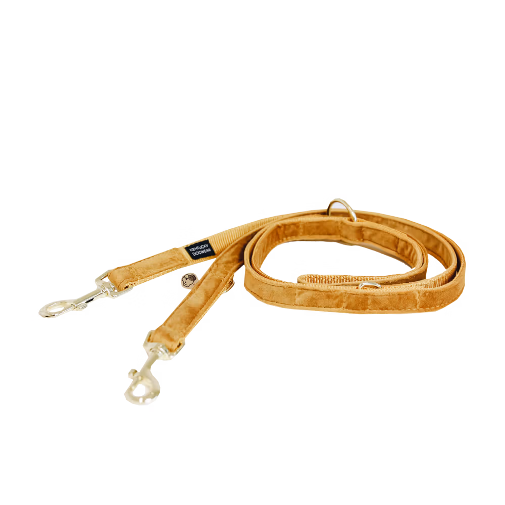 Super Prix Laisse pour chien Velvet 200 cm