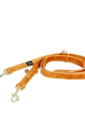 Meilleur Choix Laisse pour chien Velvet 200 cm