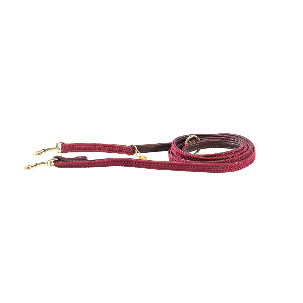 Vente Flash Laisse pour chien Plaited Nylon 200 cm