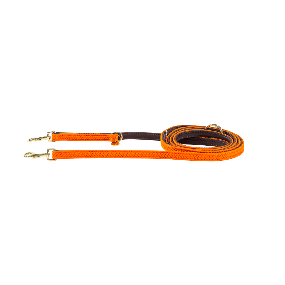 Laisse pour chien Plaited Nylon 200 cm Retour Gratuit