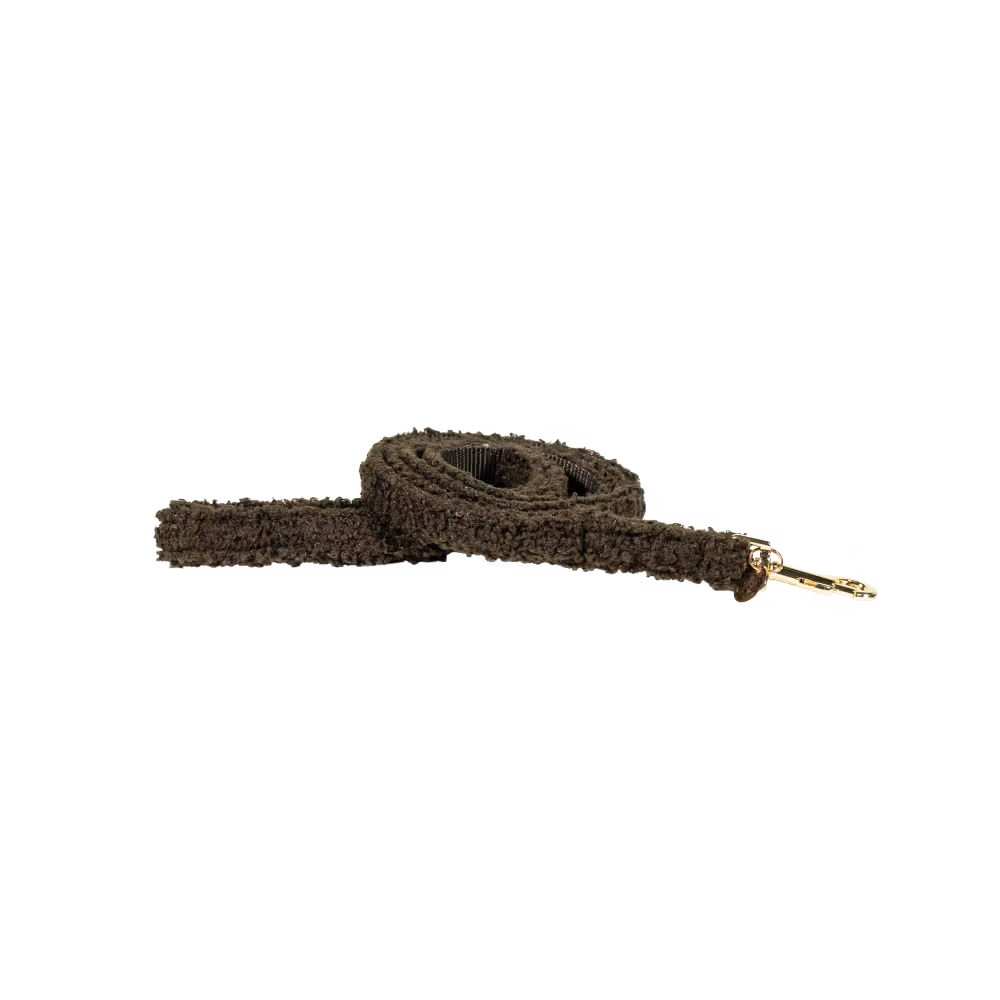 Laisse pour chien Teddy Fleece 120 cm Prix Cassé