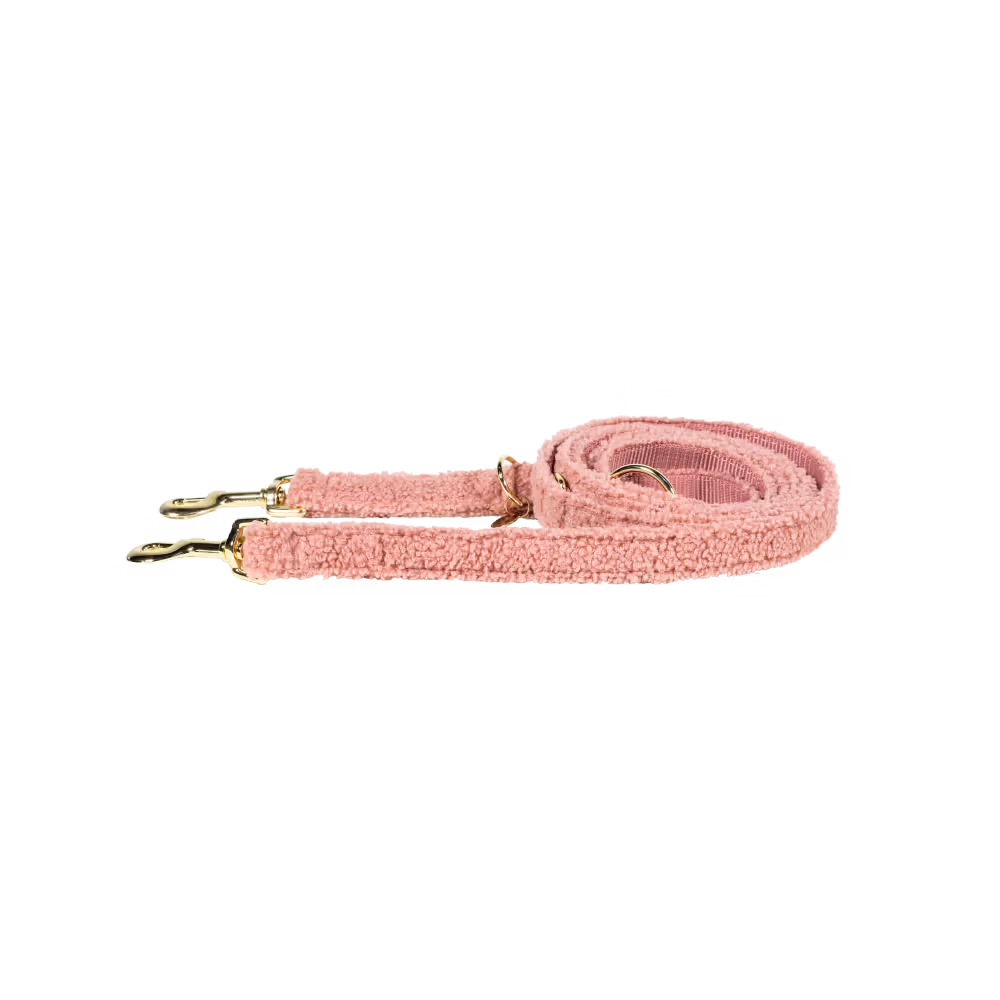 Prix Bas Laisse pour chien Teddy Fleece 200 cm