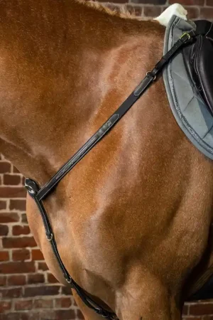 Collier De Chasse Prix Réduit