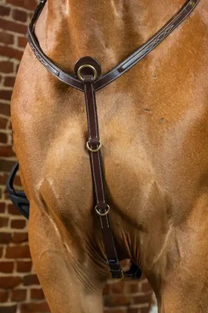 Collier De Chasse Livraison Express