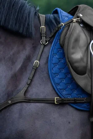 Collier De Chasse Anatomique Pas Cher