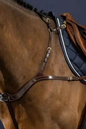 Collier De Chasse Anatomique Vente Directe