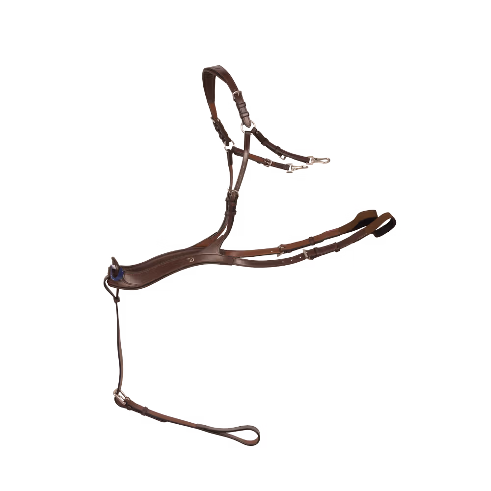 Authentique Collier De Chasse Anatomique