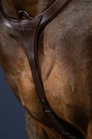 Collier De Chasse Long Pont Pas Cher
