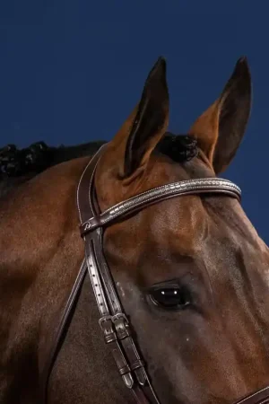 Frontal Droit Clincher Argenté Prix Réduit