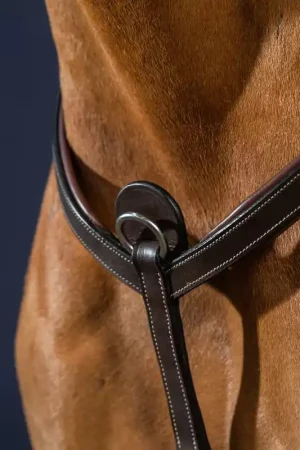 Collier De Chasse Commander Maintenant
