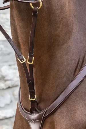 Dernière Chance Fourchette de Martingale A Anneaux