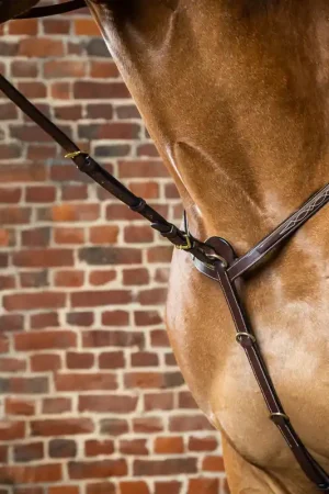 Acheter Direct Fourchette De Martingale Fixe