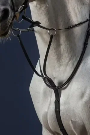 Martingale A Anneaux Achat Immédiat