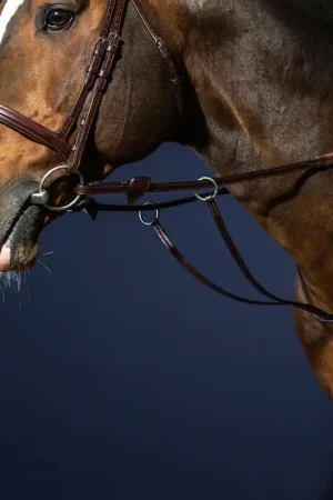 Petit Prix Martingale A Anneaux