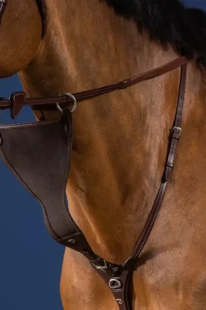 Fourchette de martingale pleine élastique Meilleur Prix