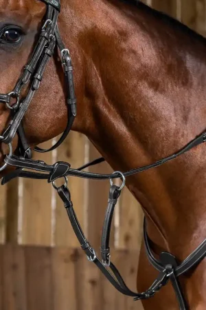 Offre Limitée Fourchette de Martingale A Anneaux