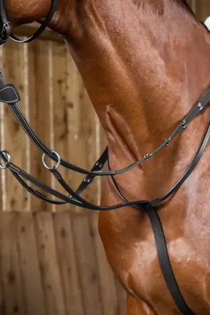 Bon Plan Martingale A Anneaux