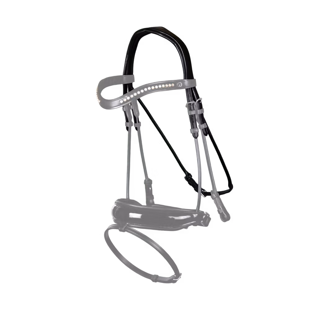 Tétière "Type Dressage" Acheter Direct