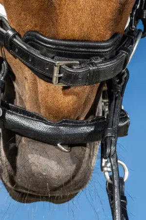 Prix Réduit Protège gourmette Avec Néoprène