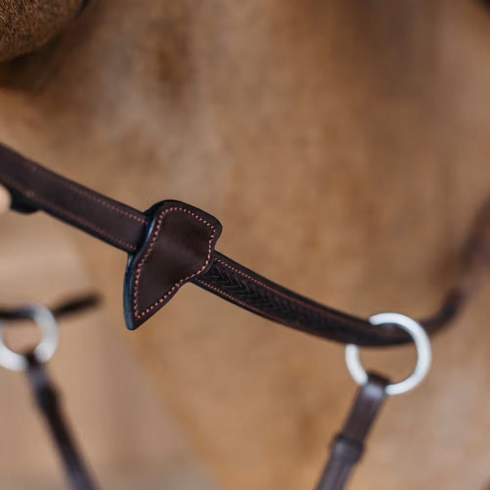 Rênes caoutchouc 1/2" avec 7 arrêtoirs et finition tressé Must-Have
