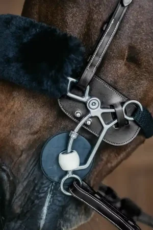 Seulement Aujourd'hui Protection de Hackamore