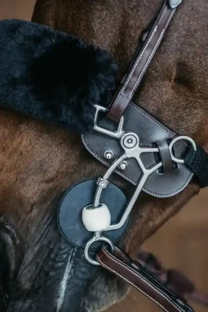 Protection de Hackamore Expédition Rapide