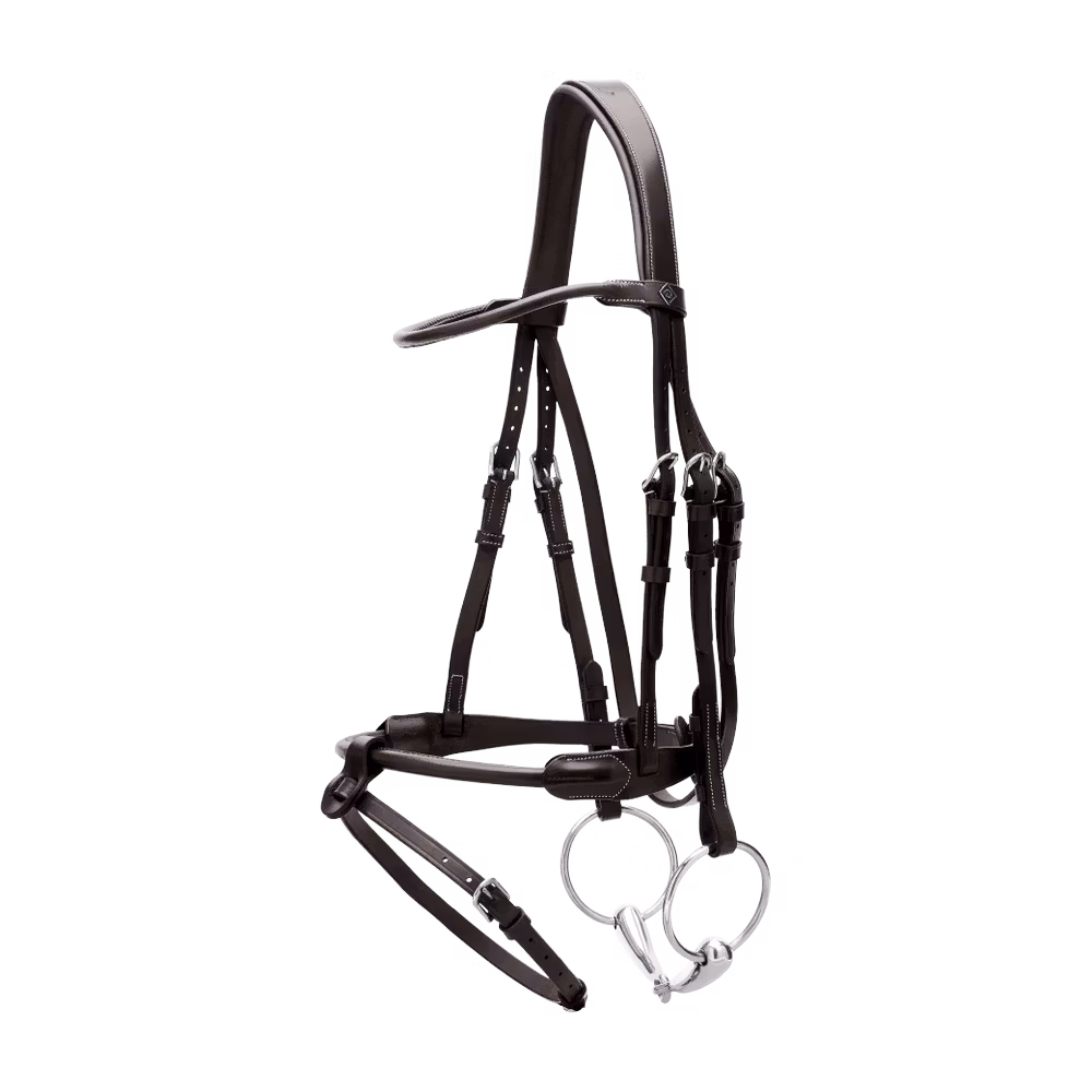 Acheter Direct Bridon en cuir rond WO
