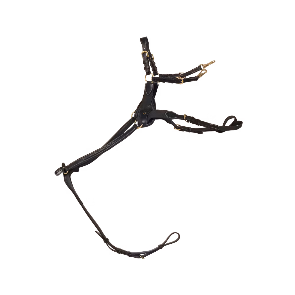 Bon Marché Collier de Chasse 5 Points Elastique